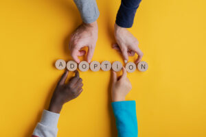 Blog image of Adoption is a unique journey for every family