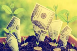 Blog image of Understanding the difference between income and earning potential